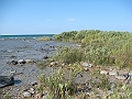 Western Michigan [2010] 823